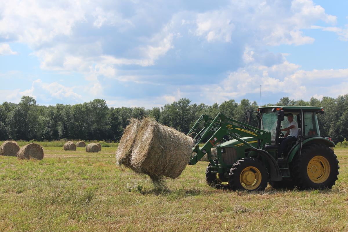 make-hay-while-the-sun-shines